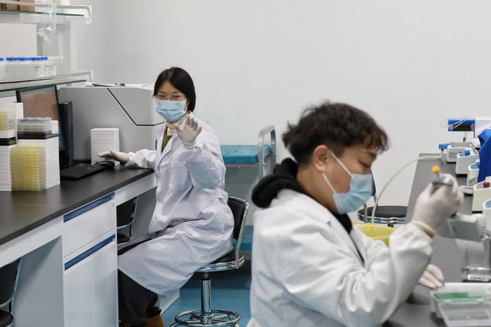 园区内，企业员工在工作。 新京报记者 王嘉宁 摄