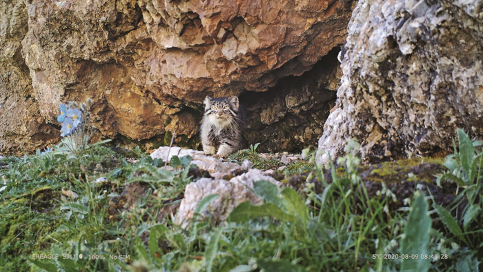 图源：山水自然保护中心