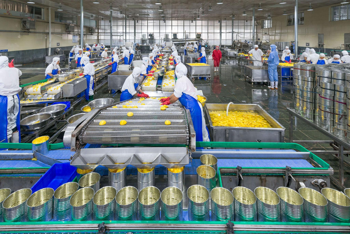 地方镇的一个国际质量标准生产罐头车间。山东省平邑县地方镇供图