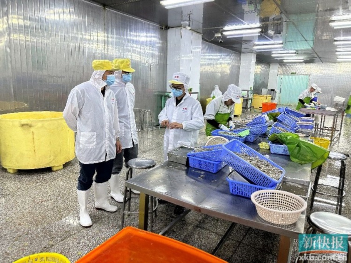 就业潮中的澄海人才招聘网：为求职者搭建桥梁!