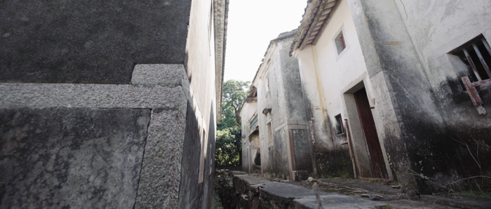 ▲海浪、古村、小小的生灵，都在一笔一笔刻画着大鹏之美。