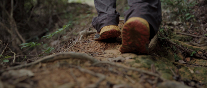 ▲一步一步，诗和远方都在脚下。