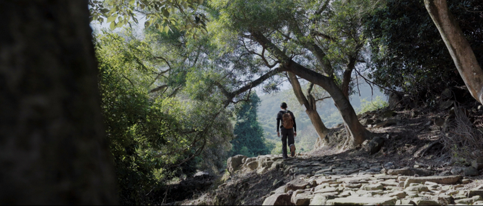 ▲一步一步，诗和远方都在脚下。