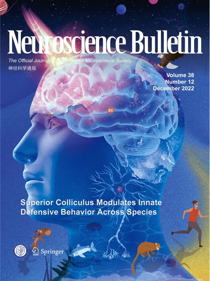 NB最新封面:全面综述上丘的细胞类型、神经连接以及调控行为|脊椎动物