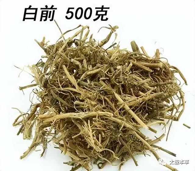 一棵白前，6种用法，专用于咳嗽痰多|百部|买药|冲饮|用途|止咳_新浪新闻