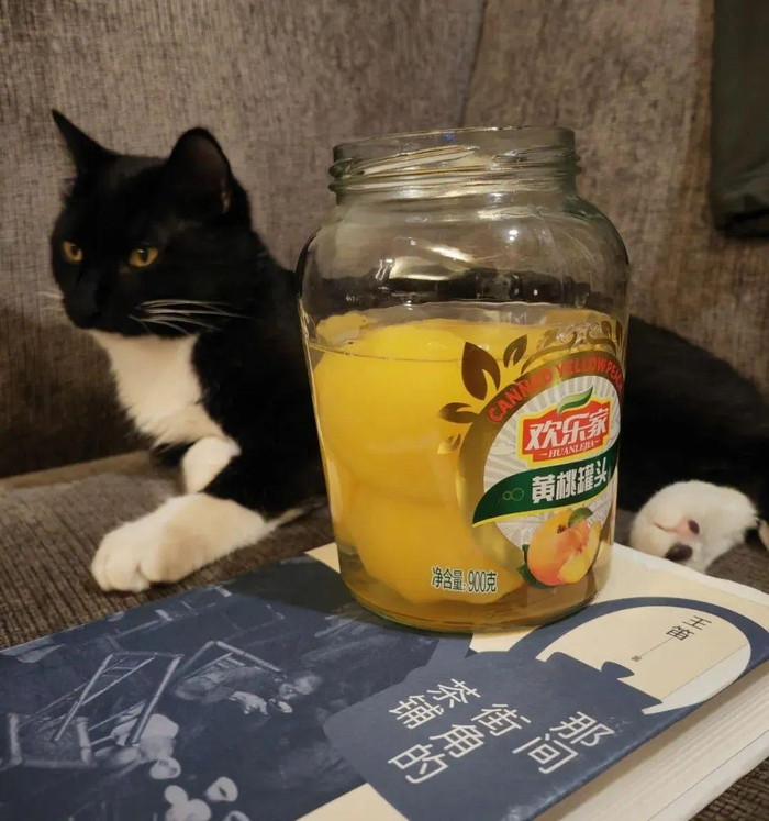 胃不疼的时候，樊龙智开了瓶黄桃罐头吃了几口，这是他的“治病神药”。受访者供图