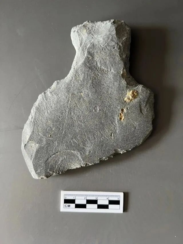 T1329③：3 破土器