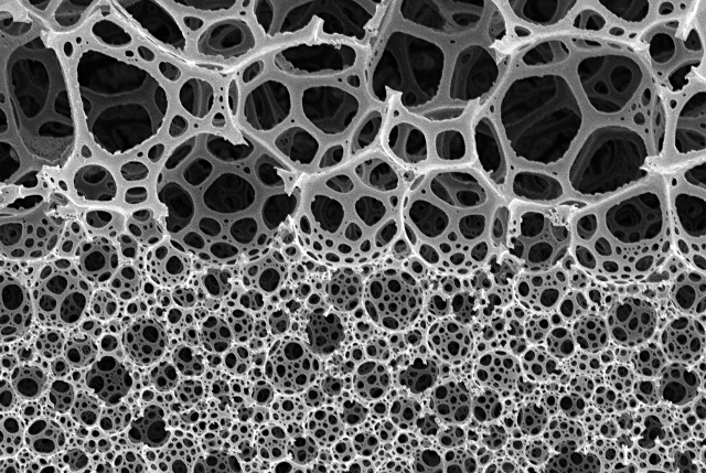 液体卫生巾巾体放大图像