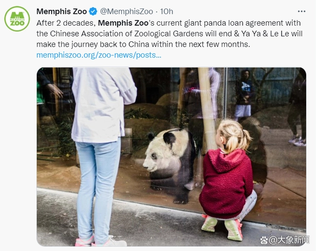 孟菲斯动物园的公告截图（图片来源：社交媒体）