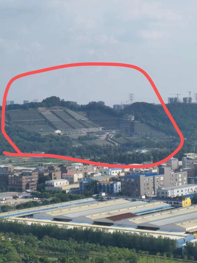 从窗户可以看到墓地。图源网络
