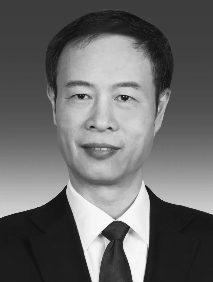 本文图片均来自微信公号“上海民盟”