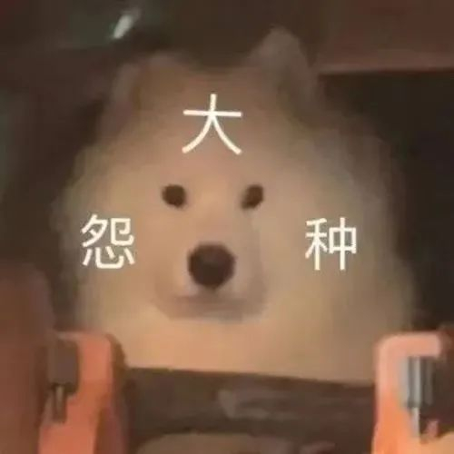 最新！2017-2022年度十大网络用语盘点，最经典的必须是…__财经头条__新浪财经