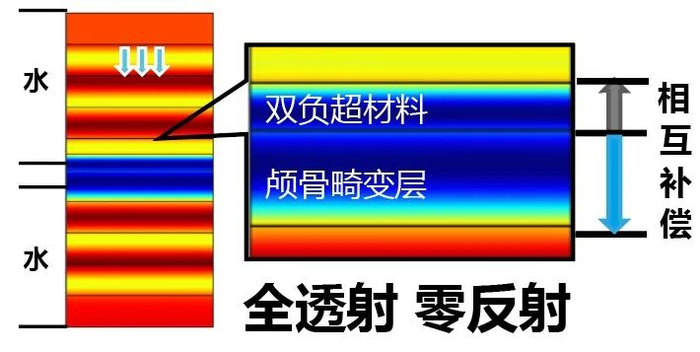 专访浙江大学郑音飞:突破“禁区”,给大脑做B超|颅脑|颅骨|超声|换能器|声学_新浪新闻