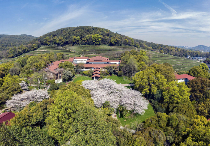 中国茶叶博物馆。受访者供图