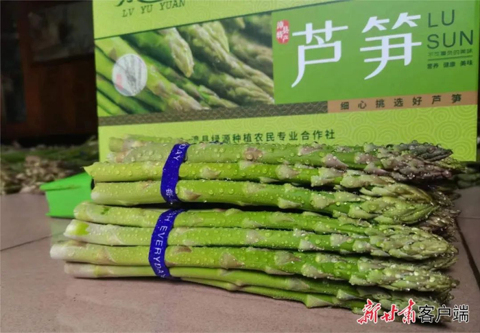 新鲜的芦笋。  