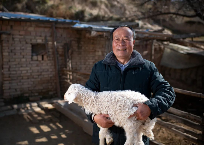 11月16日，宁夏西吉县农民作家李成山抱着家中的小羊羔 冯开华 / 摄