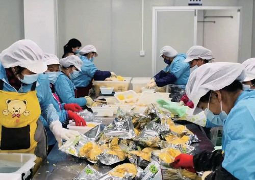 　　菠萝加工车间里，工作人员正在对“去皮小菠萝”进行清洗处理和打包装袋。　受访者供图