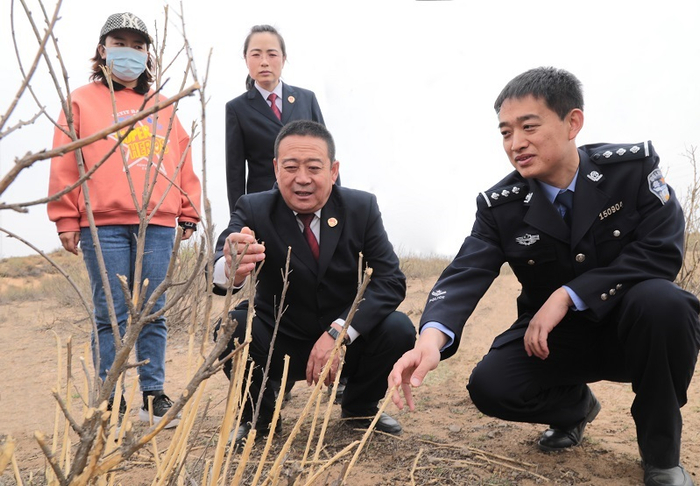 鄂尔多斯市检察院检察官实地调研野生动物致害情况。