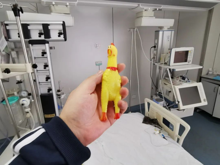 呼叫设备故障，临时用尖叫鸡替了两天&nbsp; 图/受访者提供