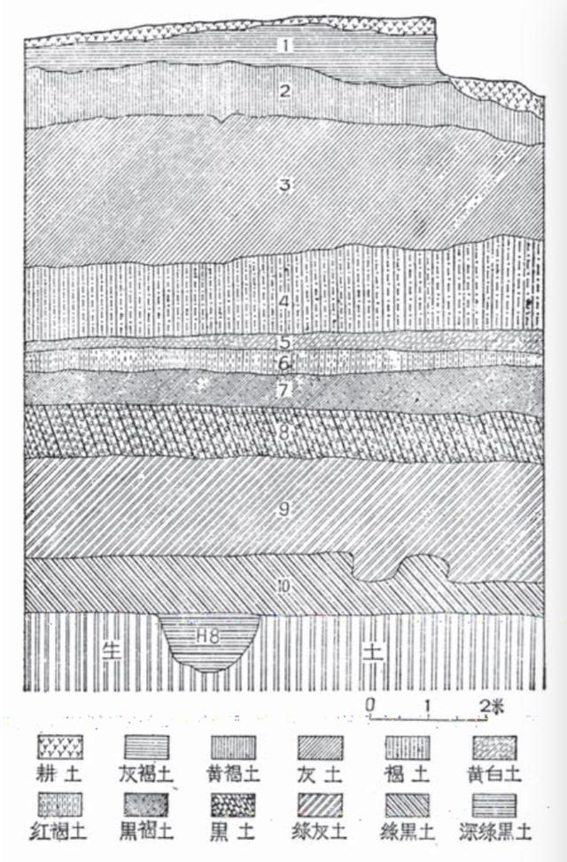 草鞋山遗址T103西壁剖面图