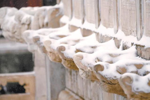 故宫雪景 资料图 刘平 摄