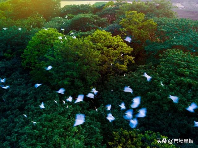 董铺国家湿地公园。