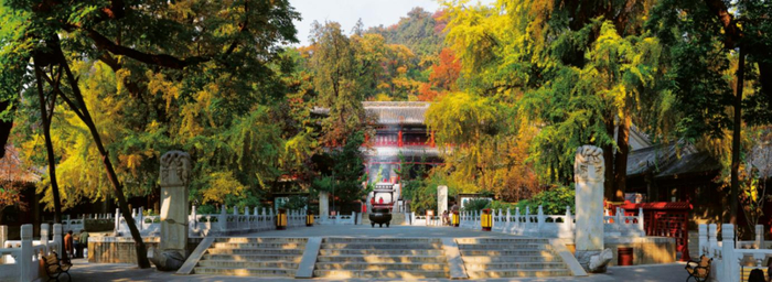       ▲戒台寺｜朱天纯 摄影     