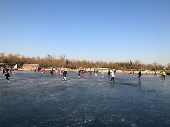 八一湖冰场上运动的人。澎湃新闻记者 张成杰 图