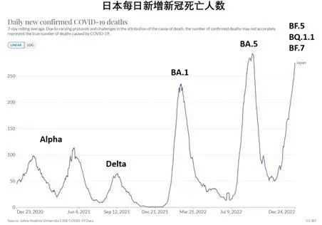 日本过去两年每日新增新冠死亡人数变化 受访者供图