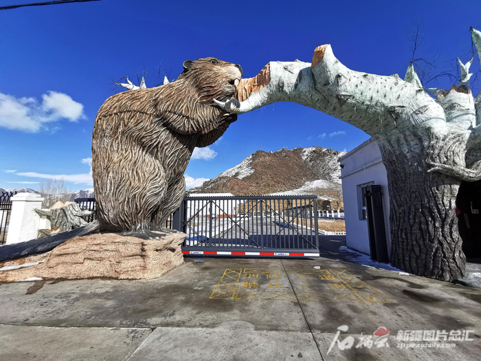 新疆布尔根河狸国家级自然保护区管理局的大门是一只正在啃树枝的河狸。天山网-新疆日报记者曹华 摄