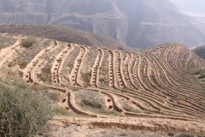 南山绿化时修建的水平阶和鱼鳞坑。 西宁市南山绿化指挥部办公室提供