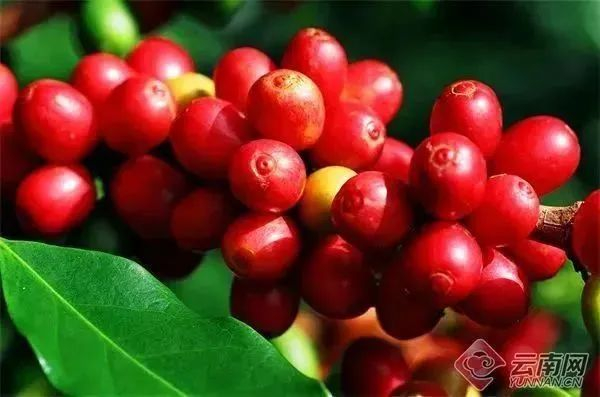 隆阳区委宣传部供图