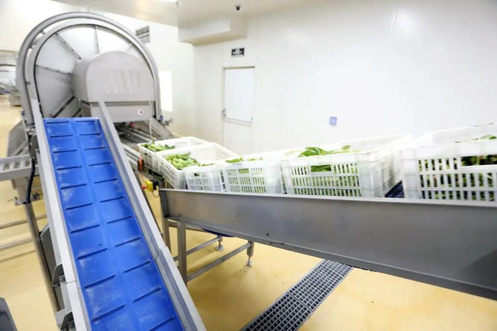 蜀海智慧仓储体系分拣蔬菜