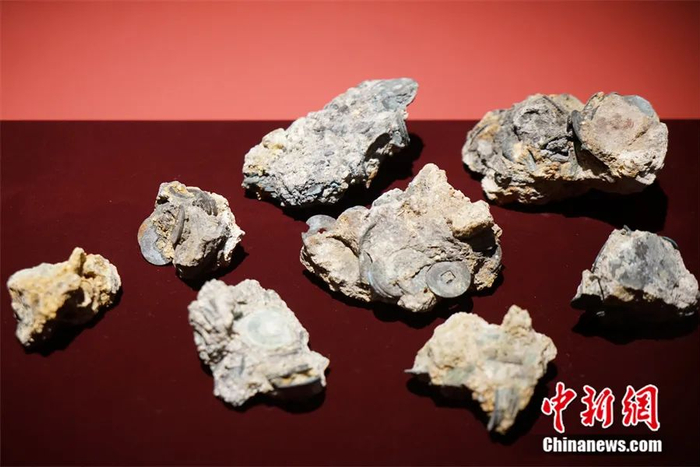 展出的铜钱。刘旭 摄