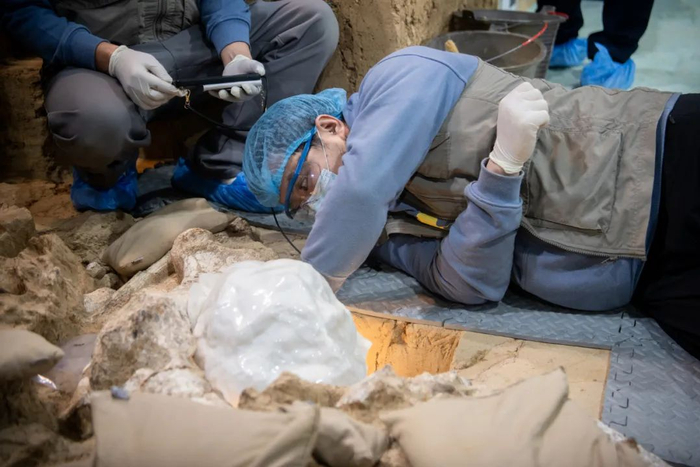 “郧县人”3号头骨化石提取现场