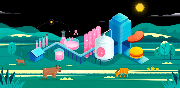 （图 / 细胞培养肉制备流程图，极麋生物提供）