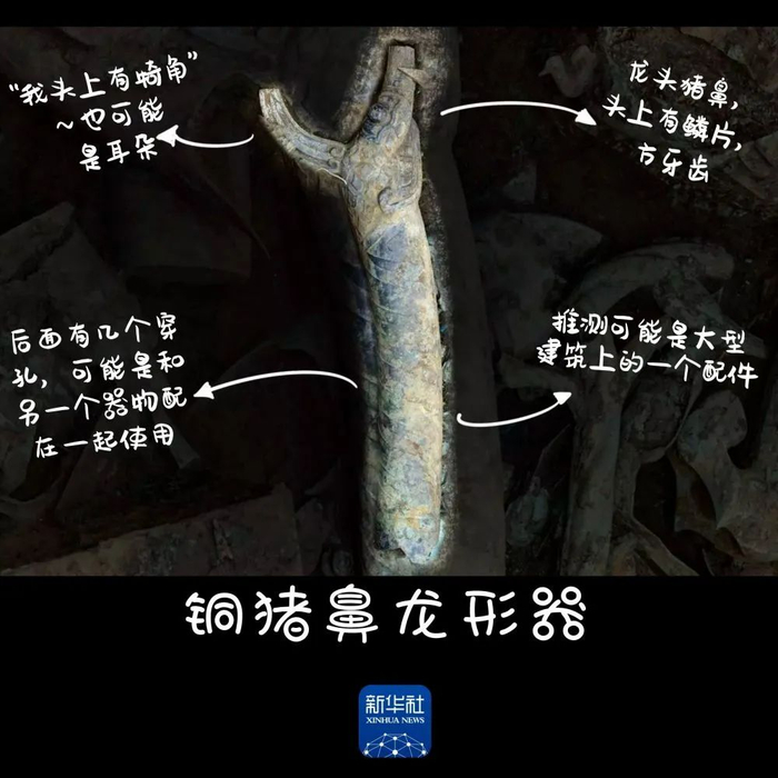 铜猪鼻龙形器，龙头、猪鼻，眼睛长在鼻子上，头上有鳞片，方牙齿。