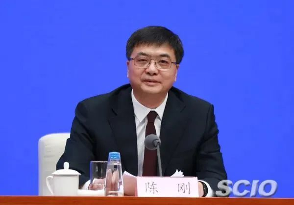 陈刚 资料图 图源：国新网