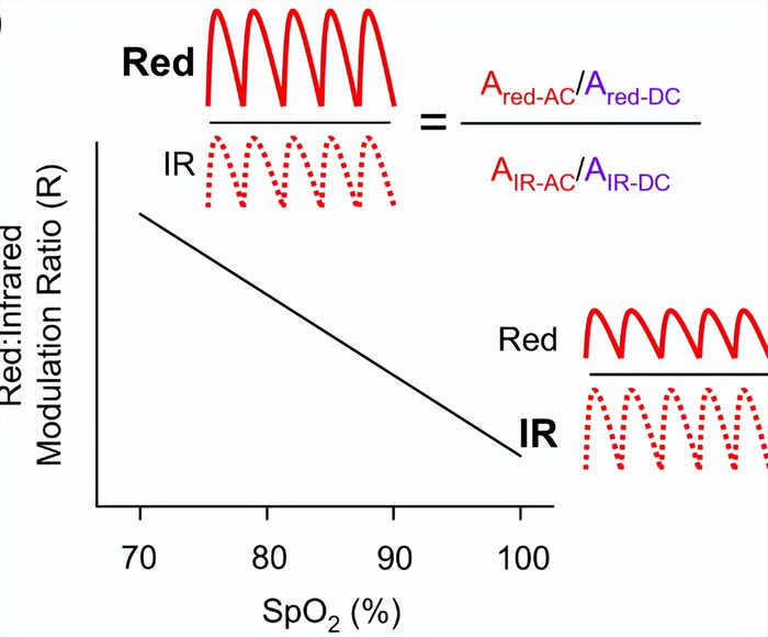 图2丨吸光度的比率与标准曲线图