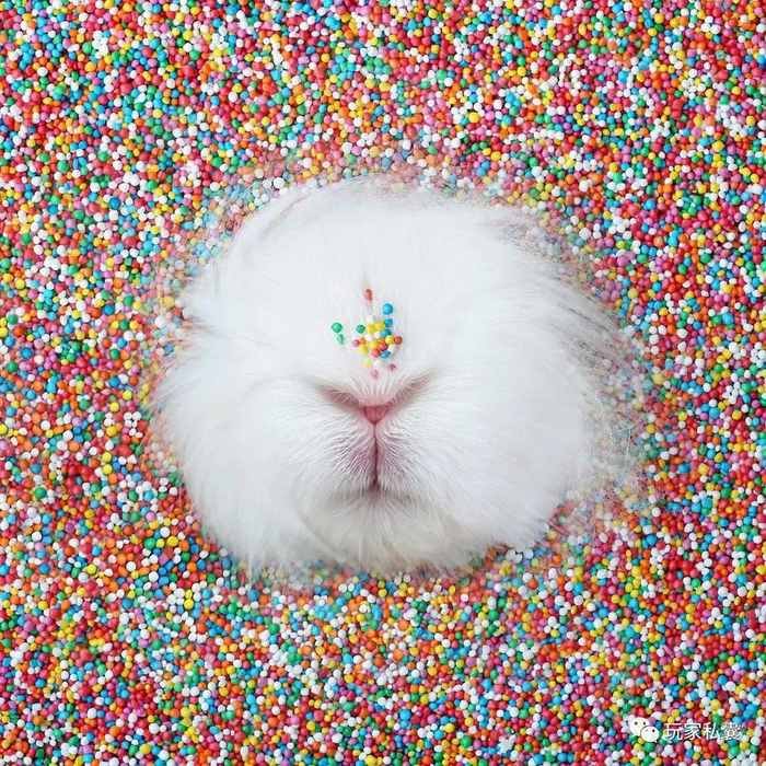 2023兔子艺术潮:村上隆,三纳宽之,ham,mr.rin