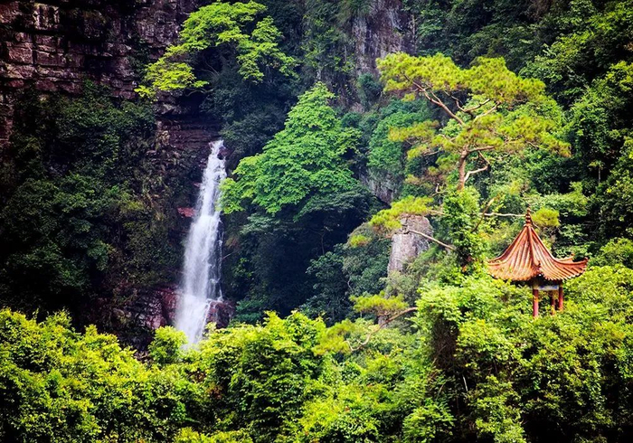 广西龙潭国家森林公园。图源：贵港市文化广电体育和旅游局