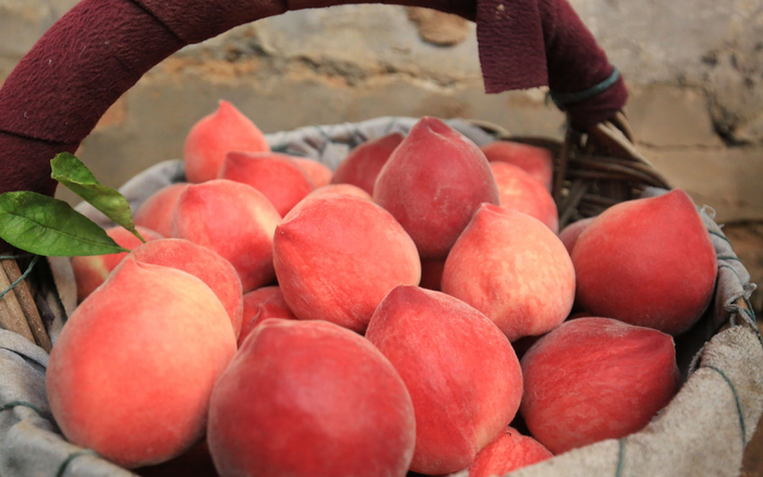 新鲜的平谷大桃。资料图