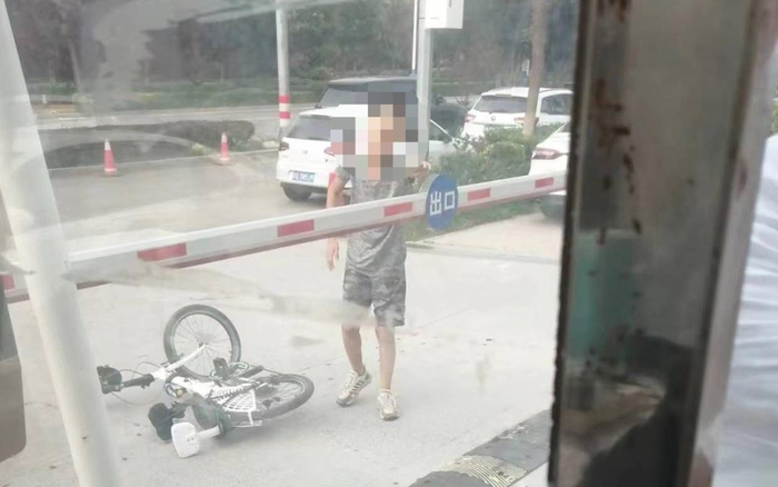 小威（化名）驶出小区时被道闸杆砸伤。图源：顺义法院