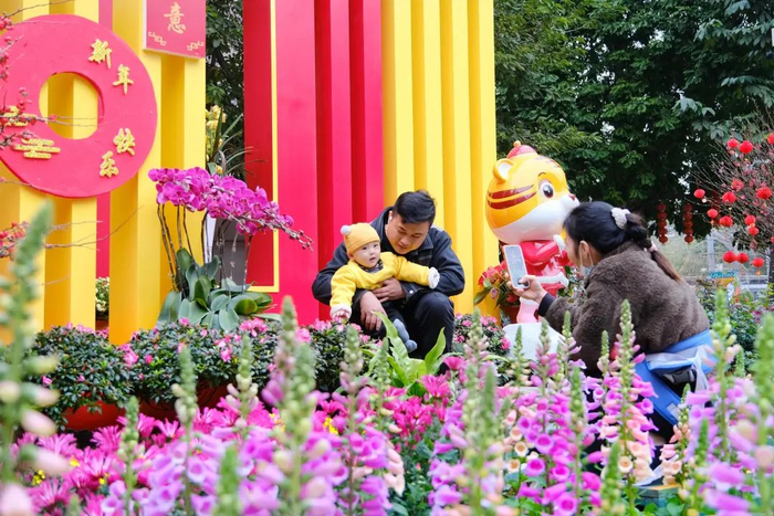 图/羊城晚报全媒体记者 陈秋明