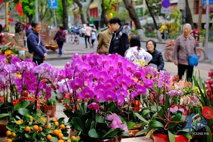 往年广州越秀区西湖路花市的热闹场景（资料图）