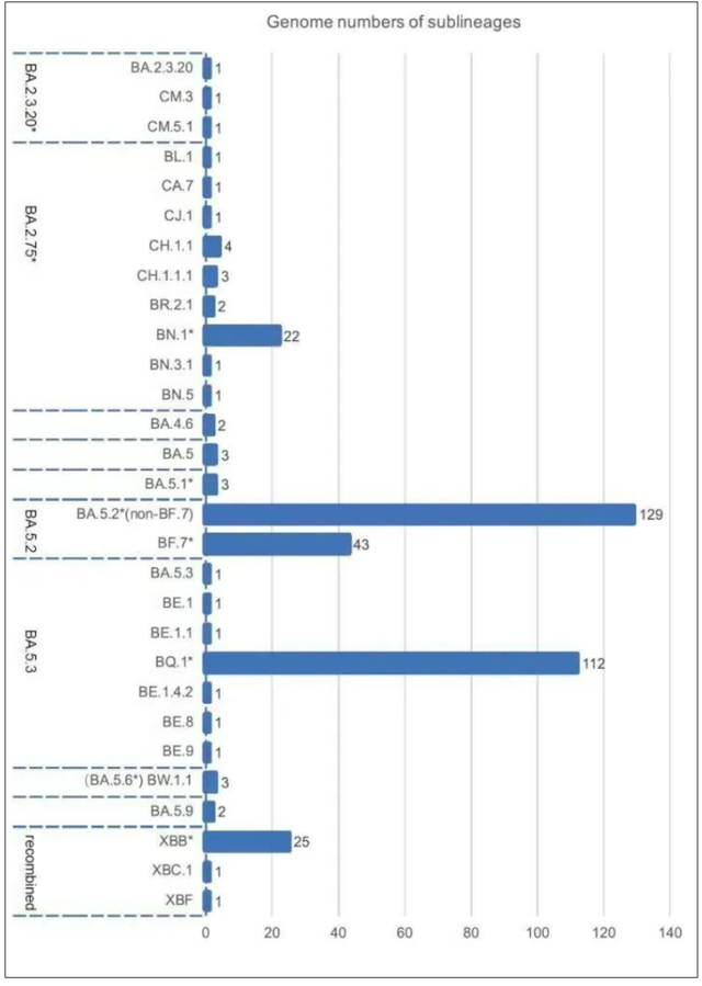 图4：奥密克戎（Omicron）变异株分布情况。作者供图