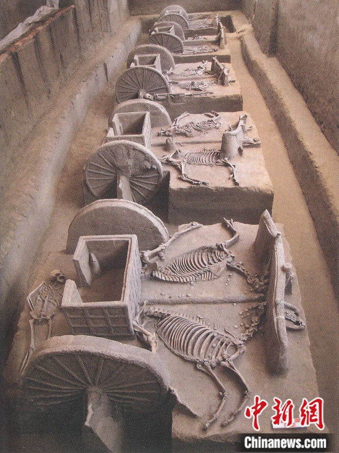 安阳钢铁厂出土商代晚期车马坑。图片来源：殷墟博物院