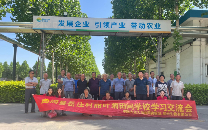 甜叶菊田间学校学习交流会。受访者供图