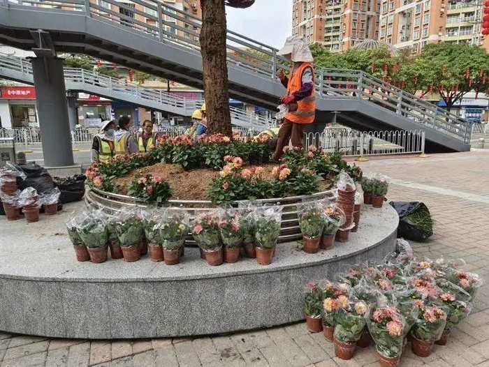 鲜艳的花儿，迎接即将到来的人儿