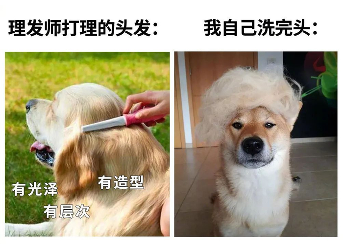 是谁，我不说。/微博@回忆专用小马甲